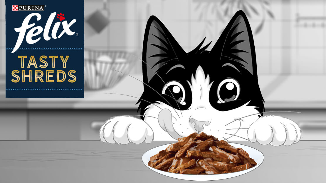 Felix Tasty Shreds Cat Food Purina